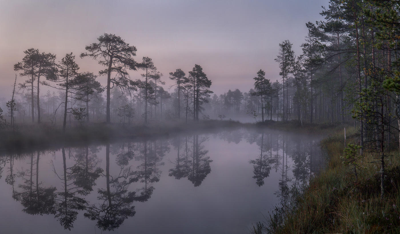 Stille breitet sich Nebel.