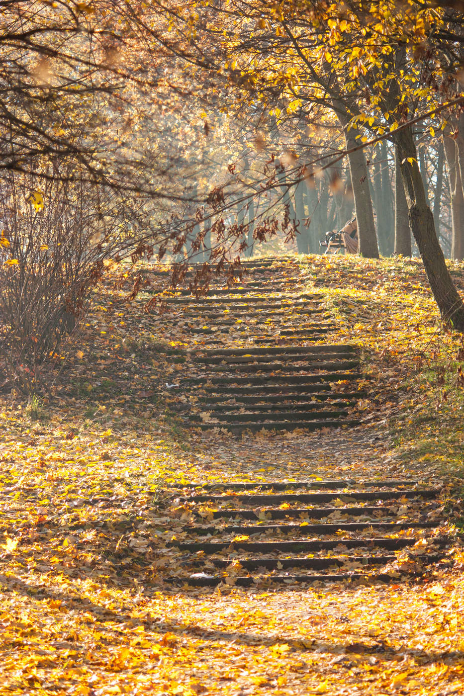 Herbst im Stadtpark