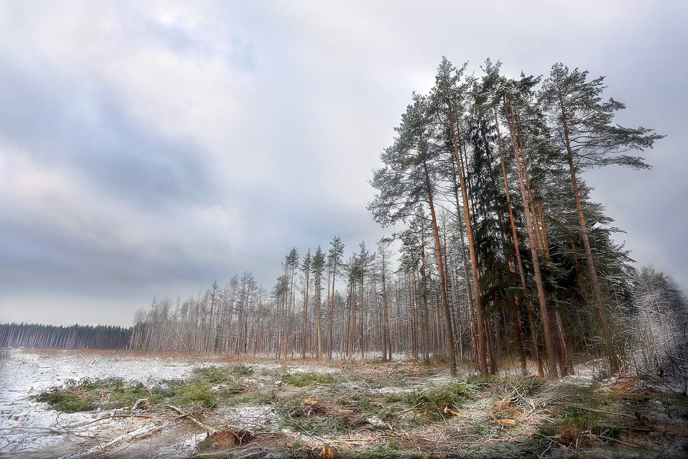Dezember bis zu treffen ...