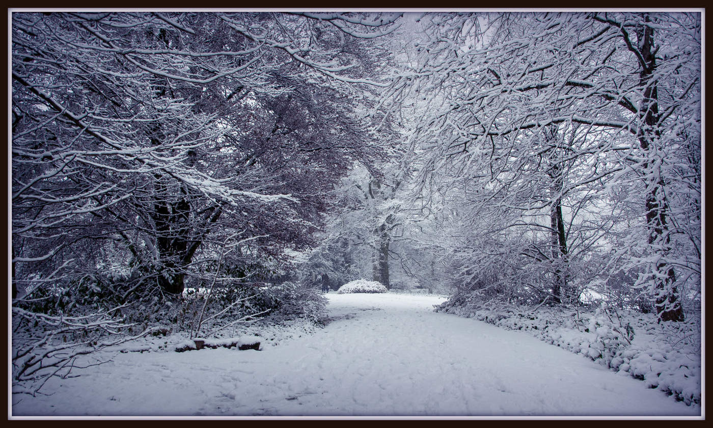 In diesem Winter kam