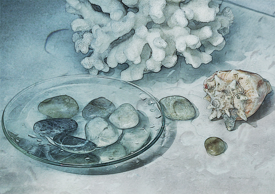 Erinnerungen an das Meer ...