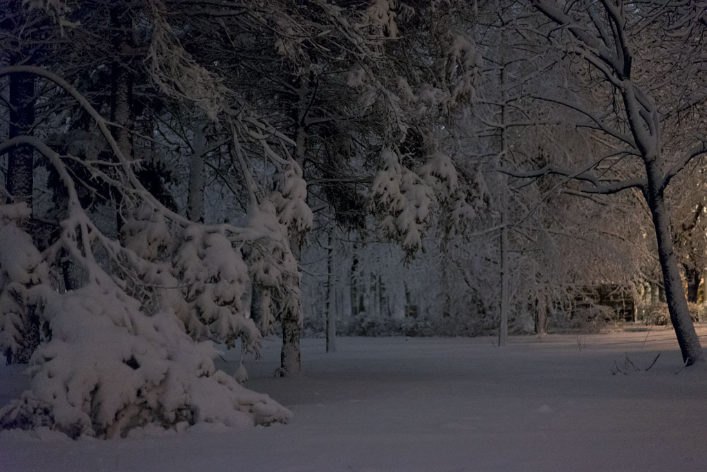 Etwas ähnliches auf den Winter