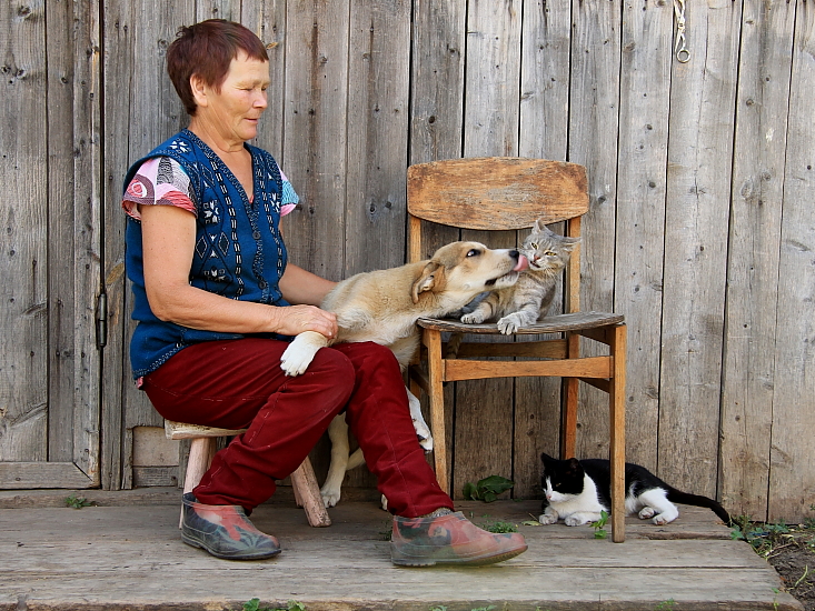 Vorsicht, bissiger Hund!