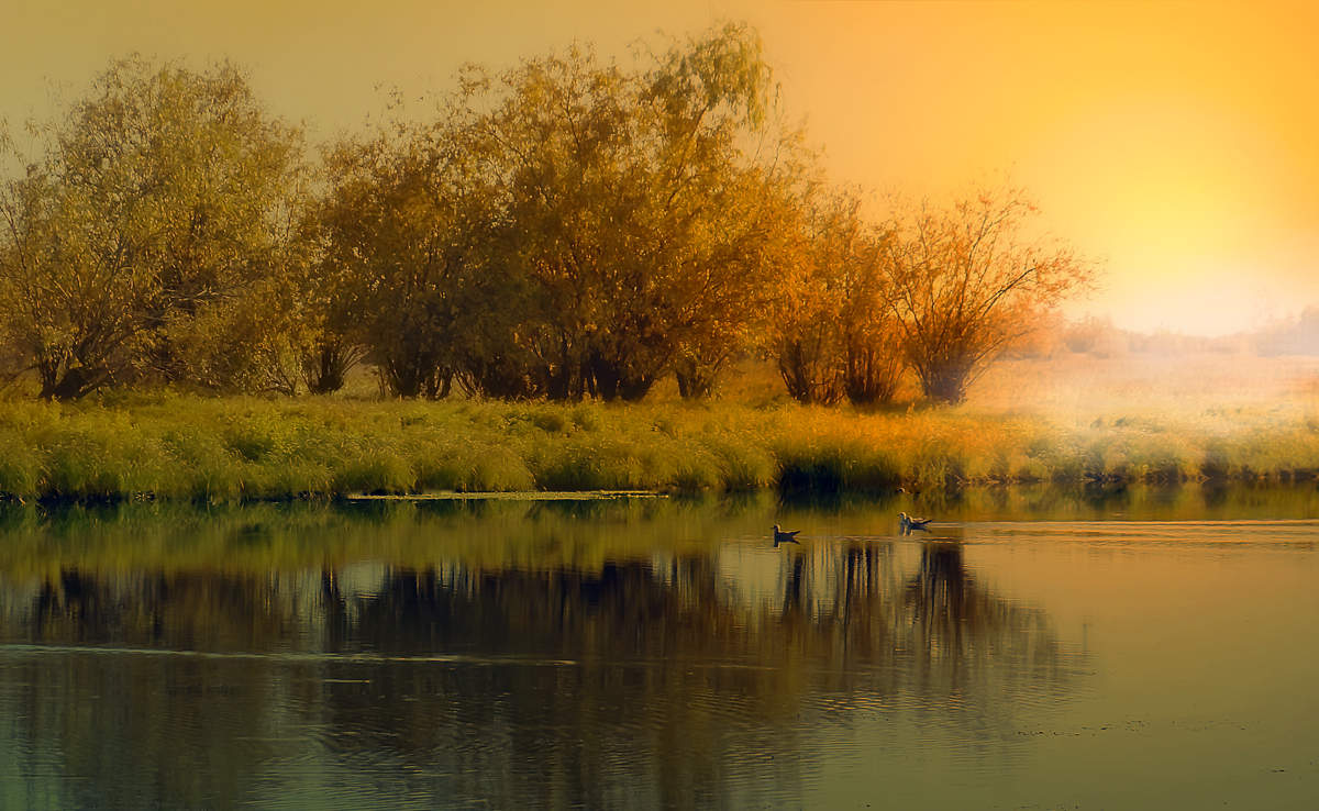 Auf einem kleinen Bach ...