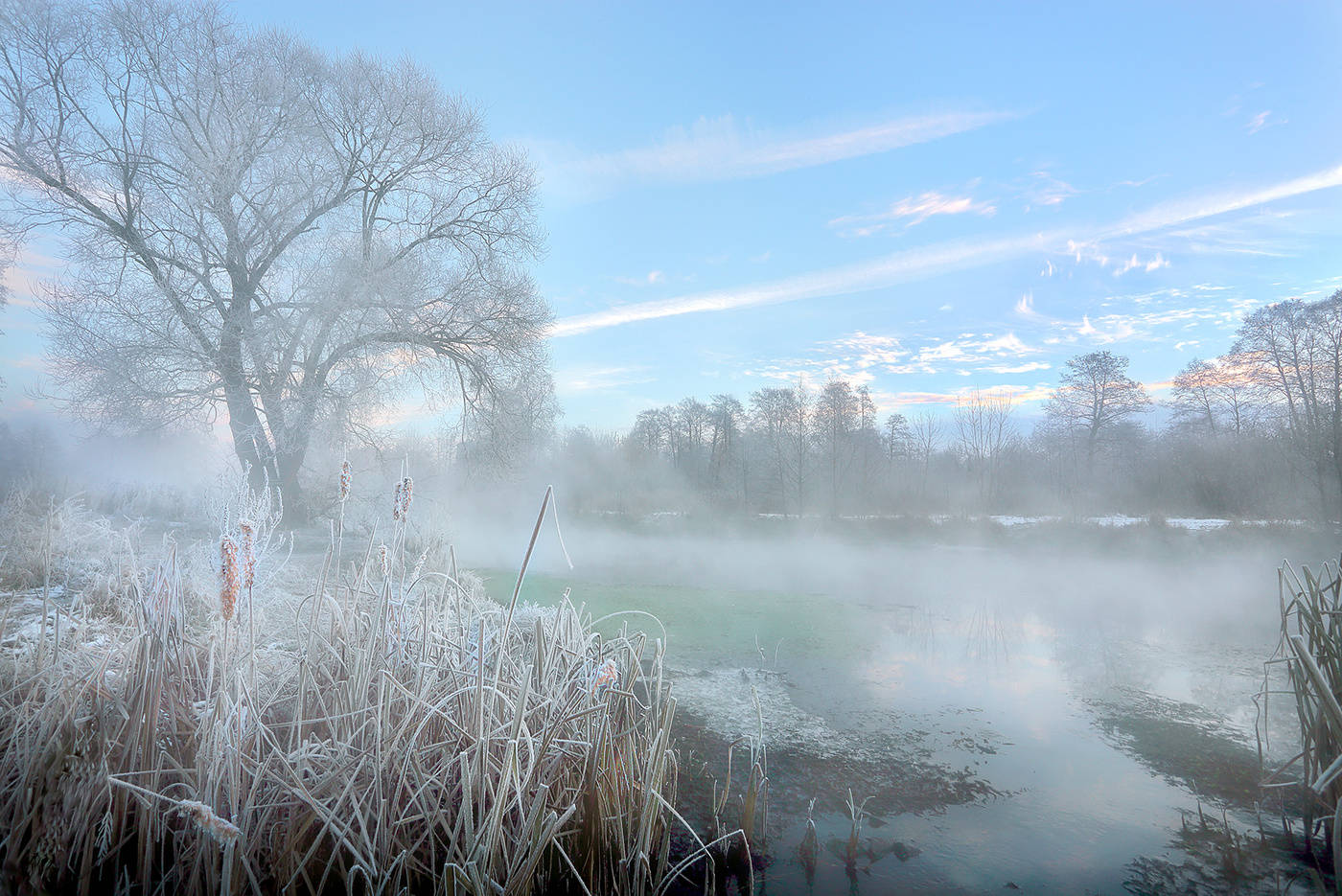 Morgen Frost November ...