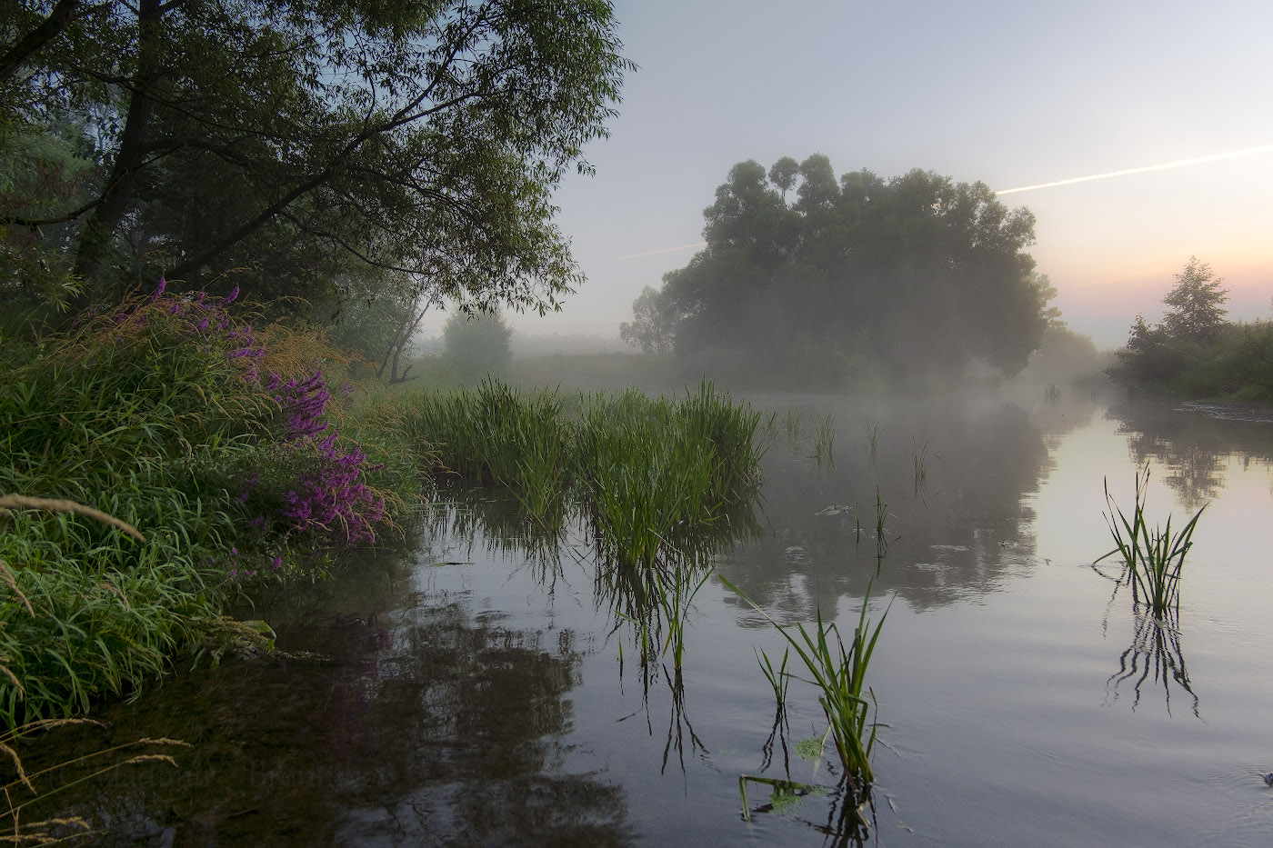 Morgendämmerung, Nebel