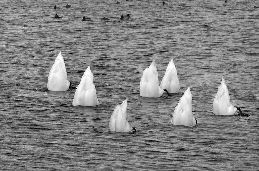 Nicht offensichtliche Bindung