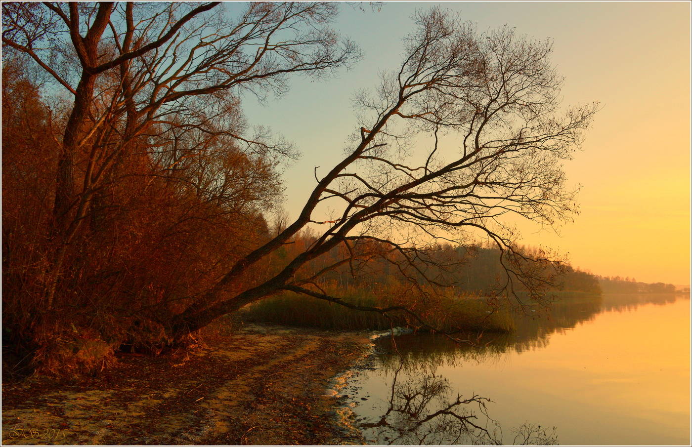 Abschied von der Sonne