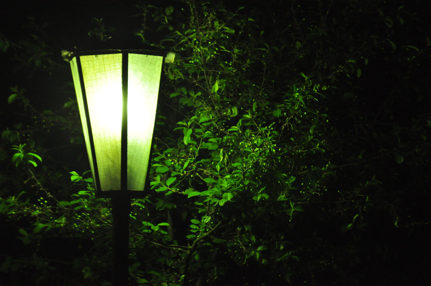 Nicht offensichtliche Bindung