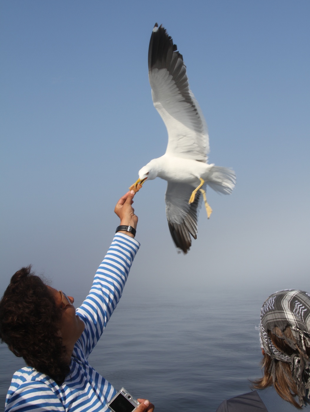 "Belomorskaya Gewinn ..."