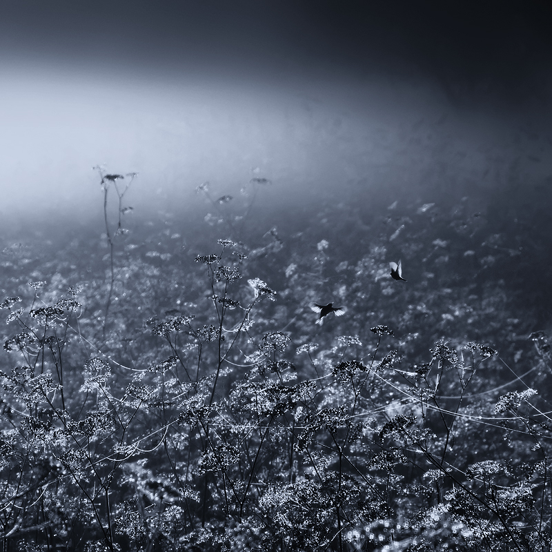 Guten Morgen, meine Liebe,