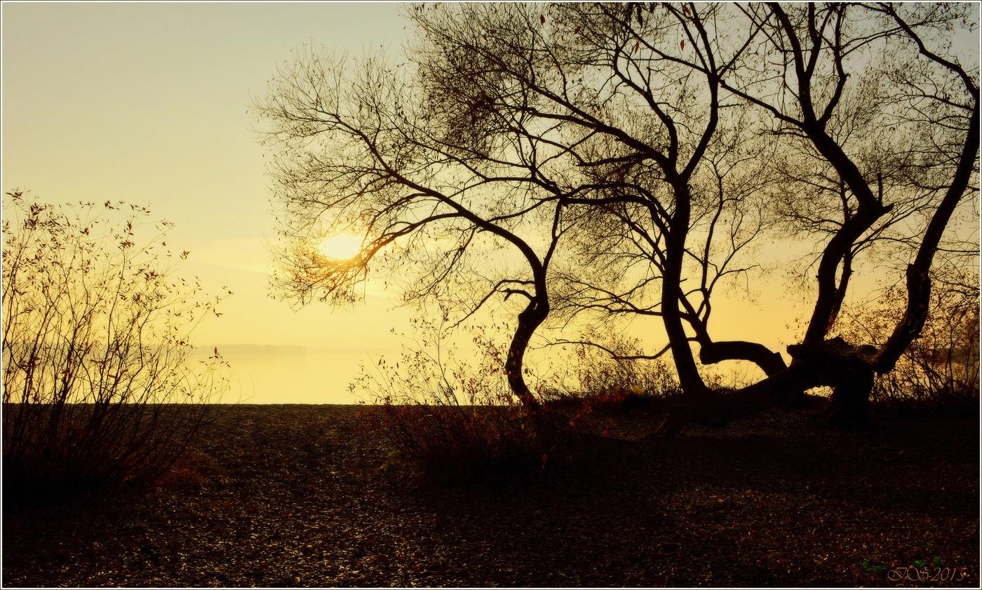 Der Drache und das Sonnenuntergang