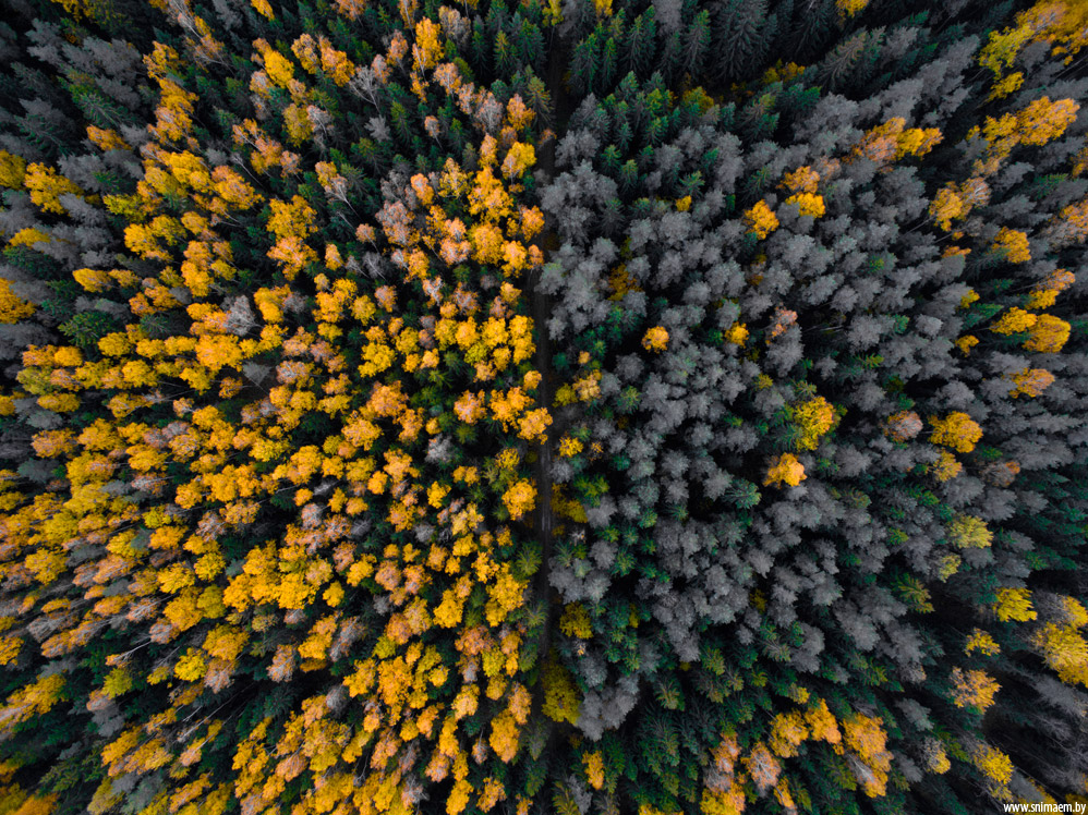 Zwei Hälften eines großen