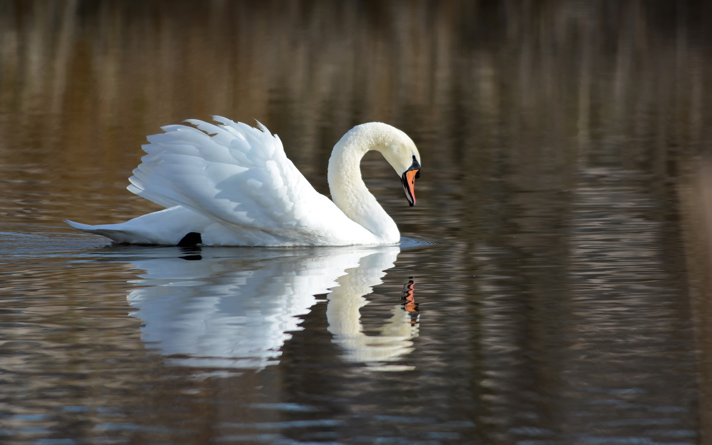 An den Winterquartier.