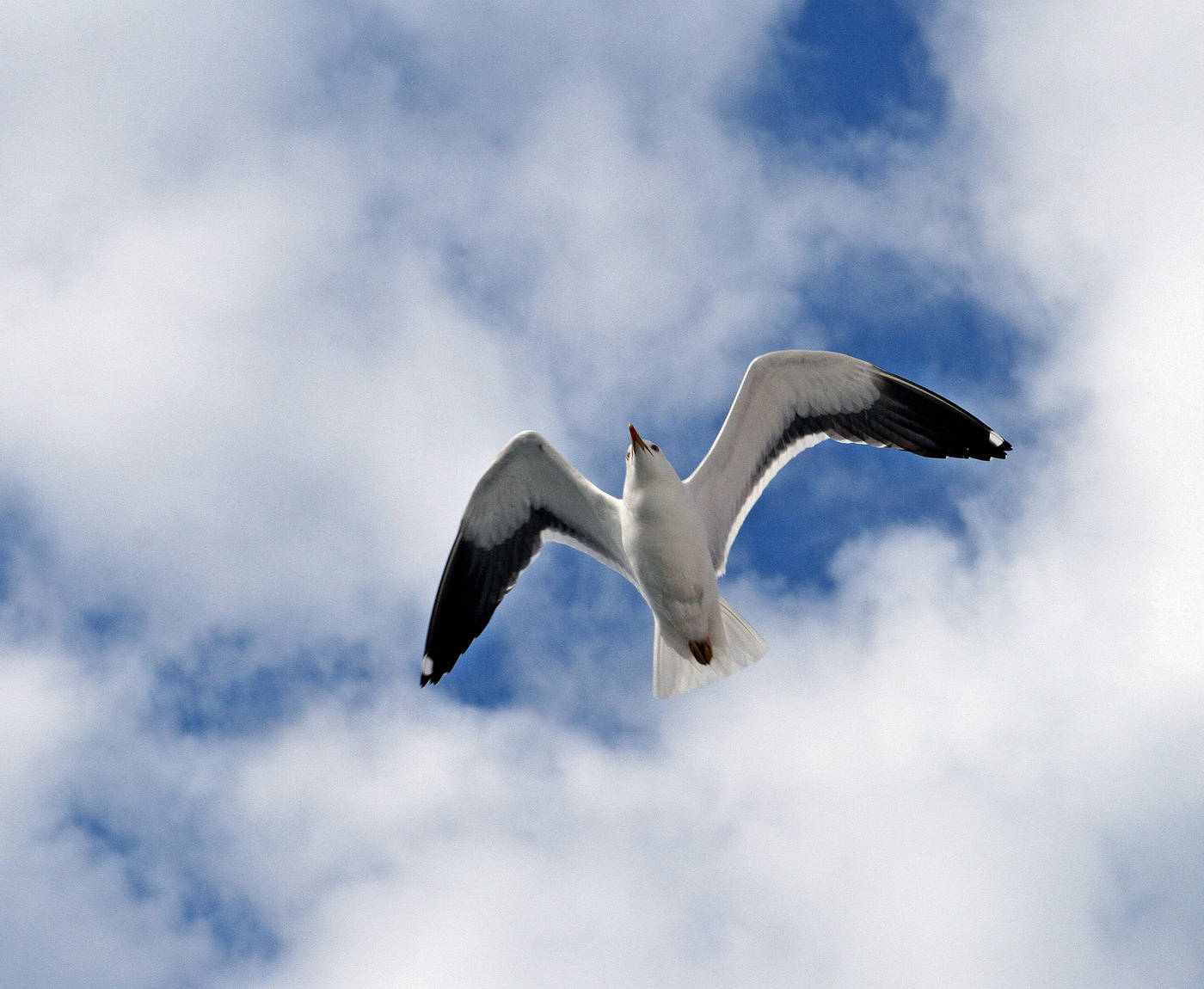 Willkommen in Norwegen :)