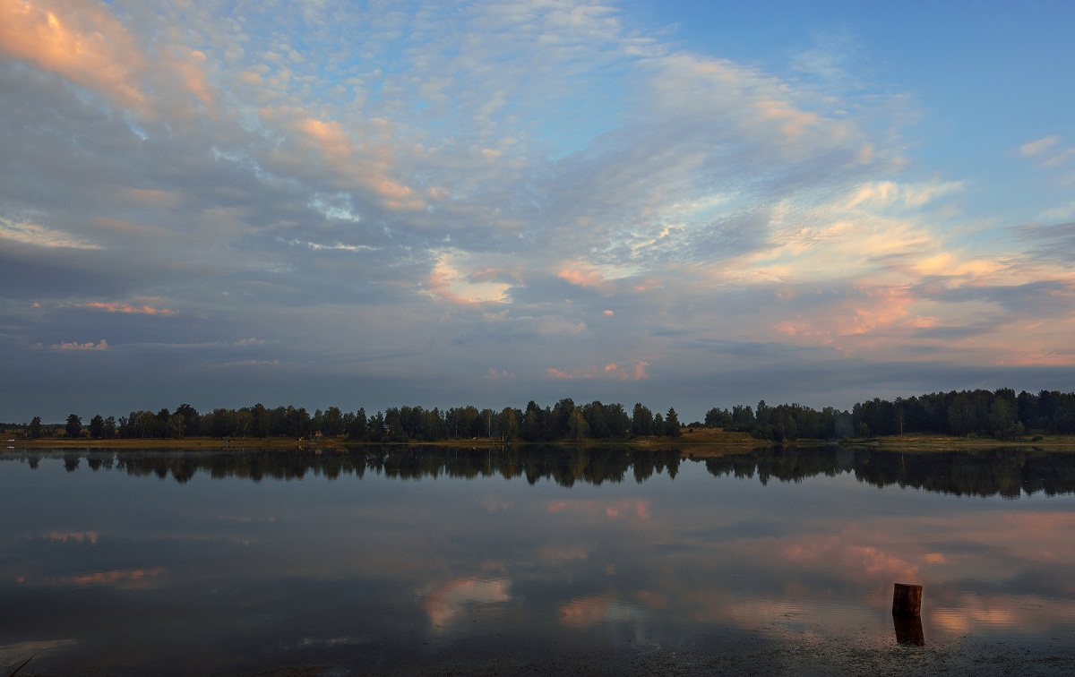 Der Moment des Sommers!