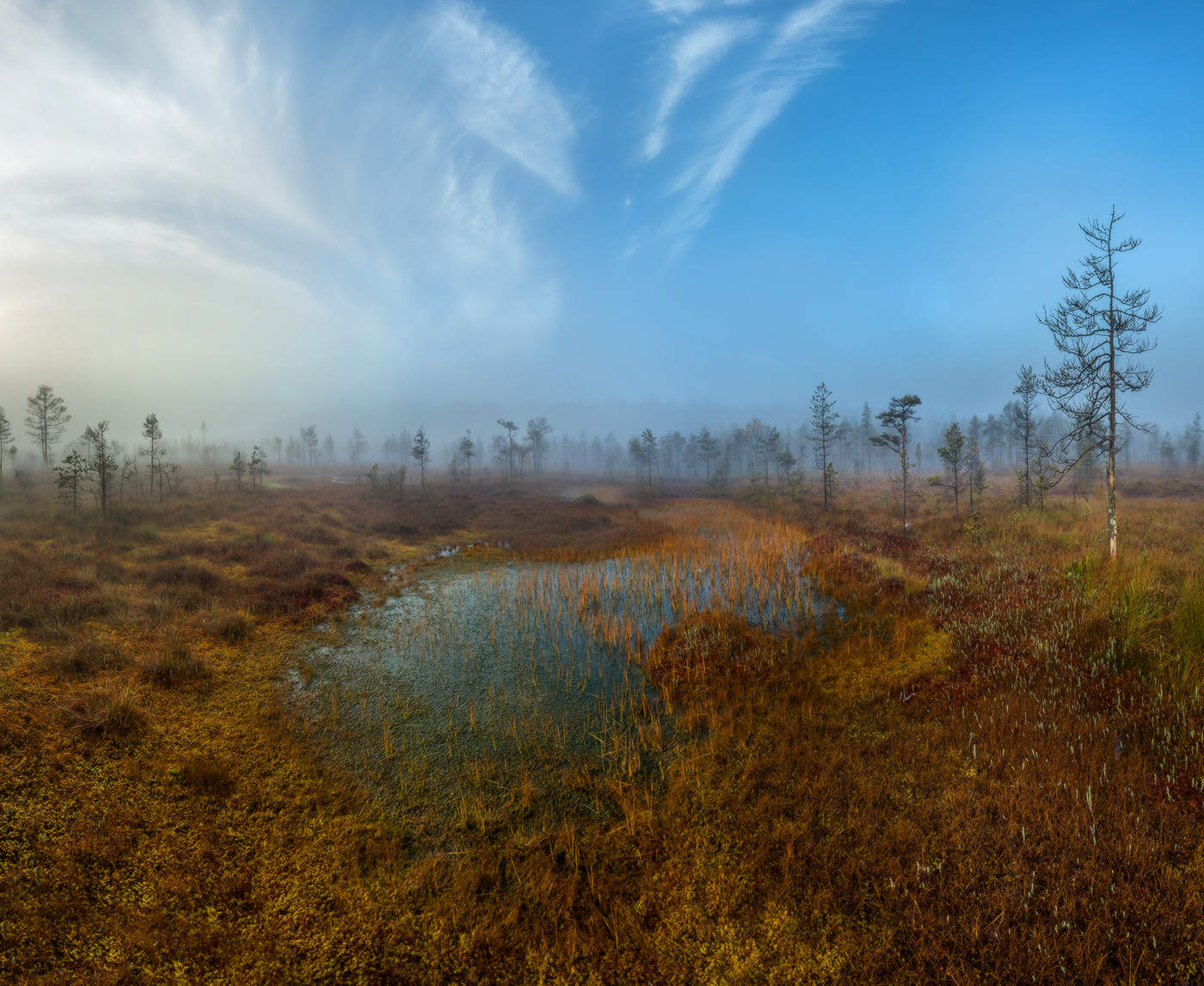 Sanfte, ruhige Morgen.