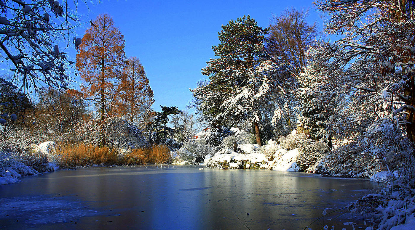 Ein Wintermärchen Flora