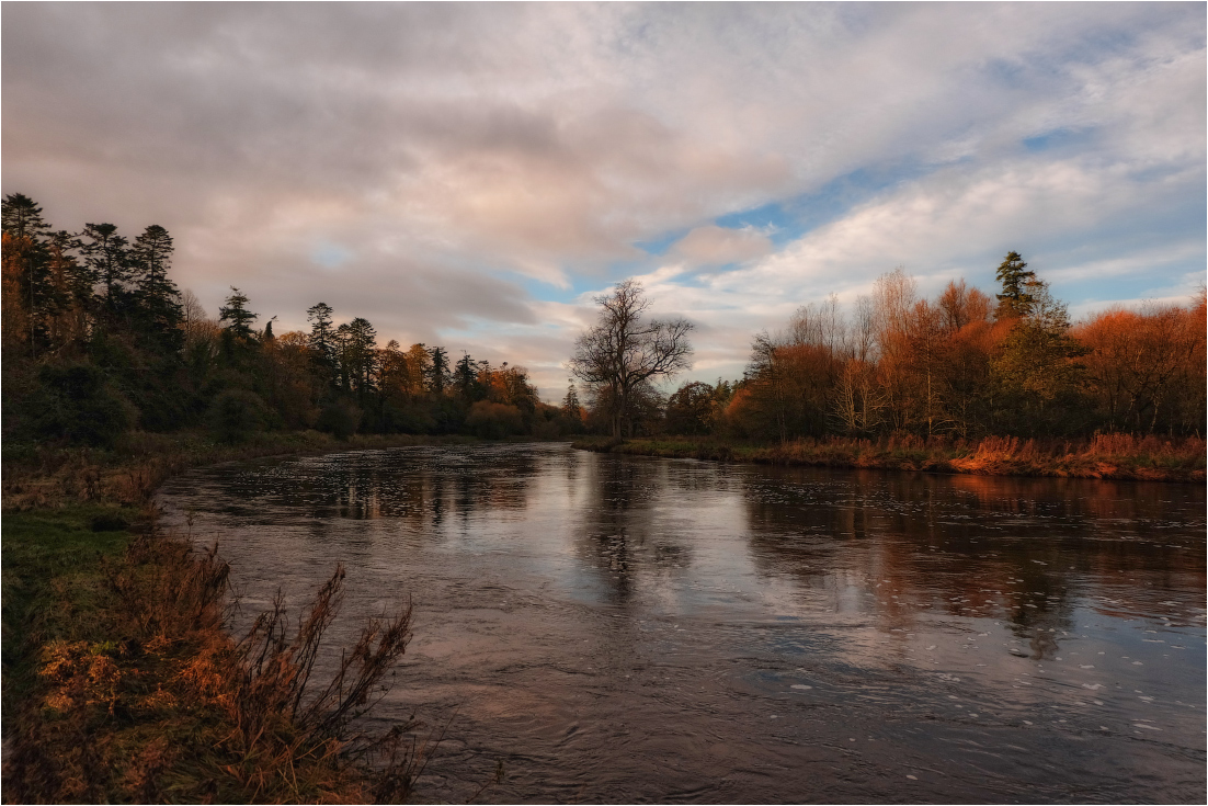 ... In den Morgenfarben II ...