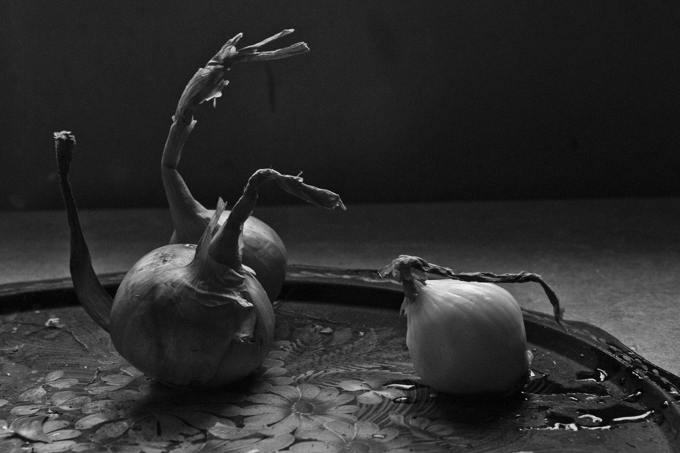 die Lebensdauer der Glühlampen