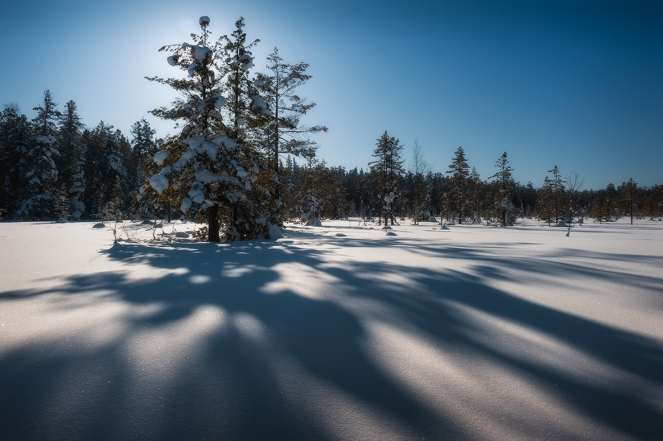 Freakish Schatten ...