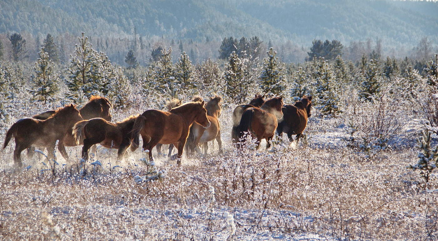 sich in die Ferne ...