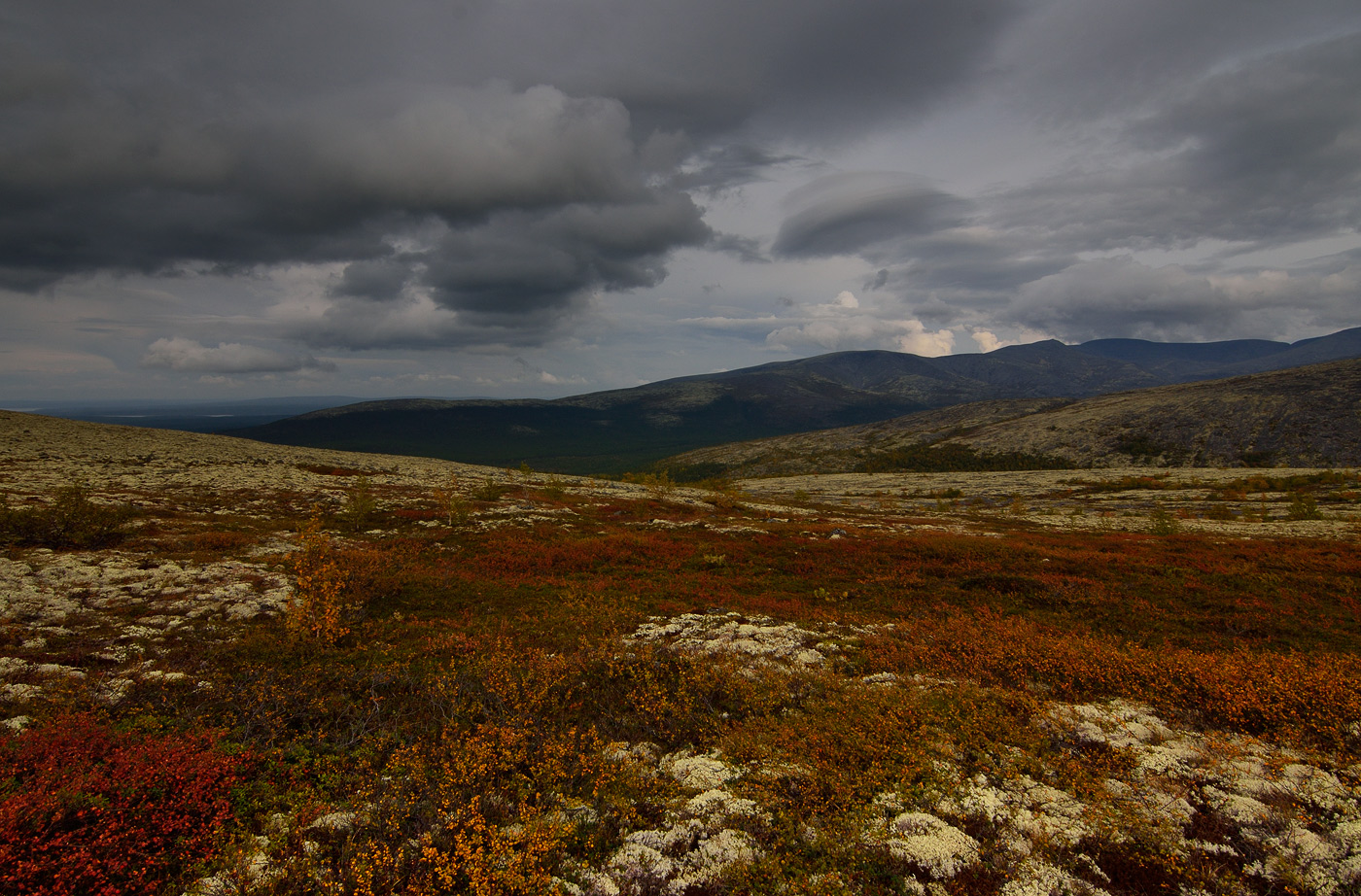 Bunte Teppiche Herbst Hibin 2