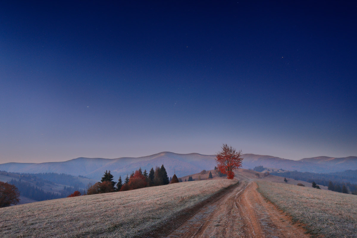 Morgengrauen mit Orion