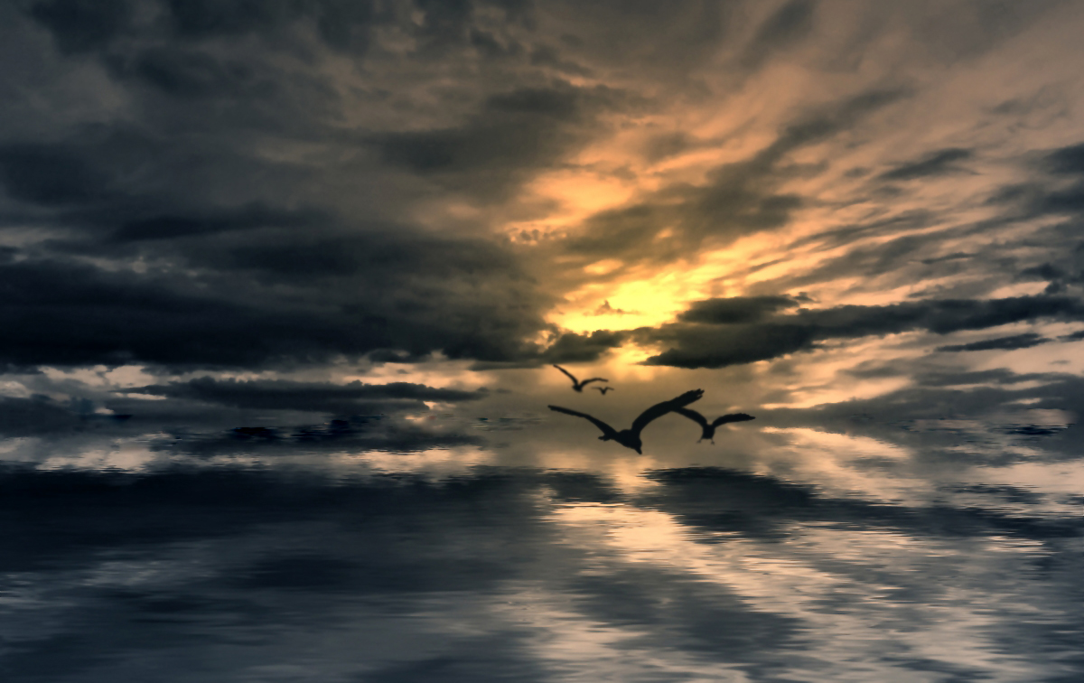 Fliegt über das Meer ...