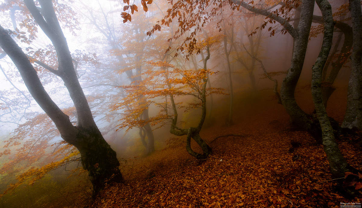 Die Art, wie das Licht ist lange und kurvenreiche ...