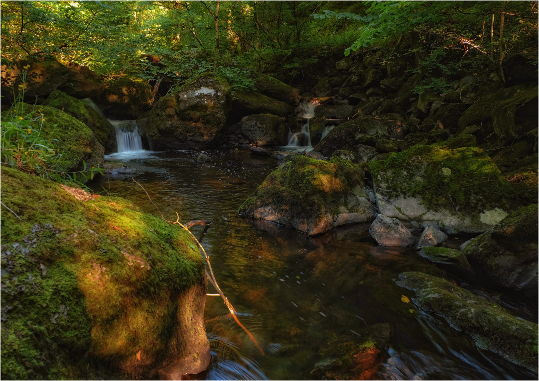 ... "Forellen Trails" XXIII ...