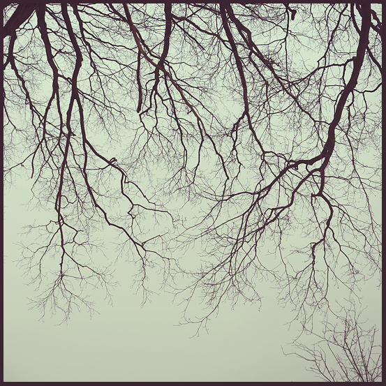 ... All das Blut sprießen in ihnen ...