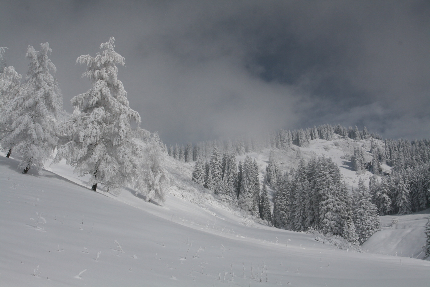 Winter in den Bergen