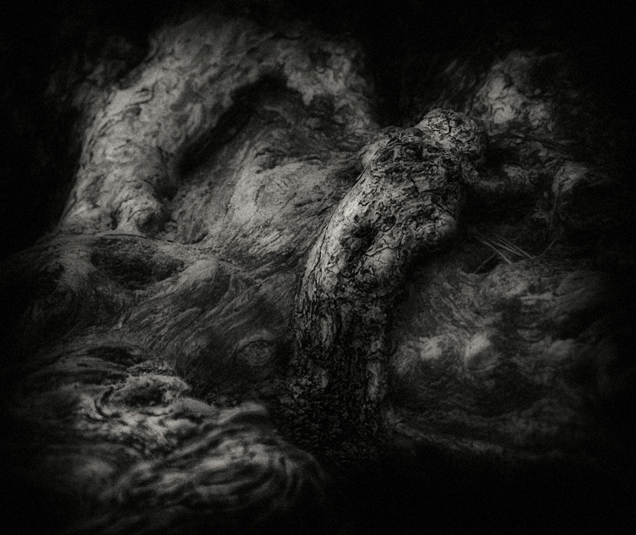 Rest können wir nur träumen ...