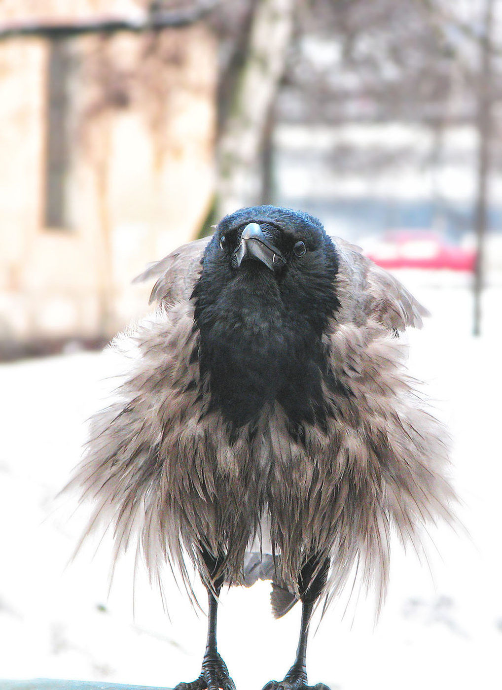 Etwas begann kalt zu werden ...