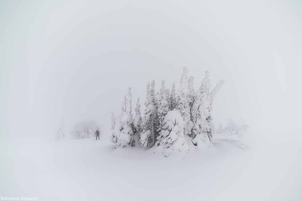 In der Milch Hölzer