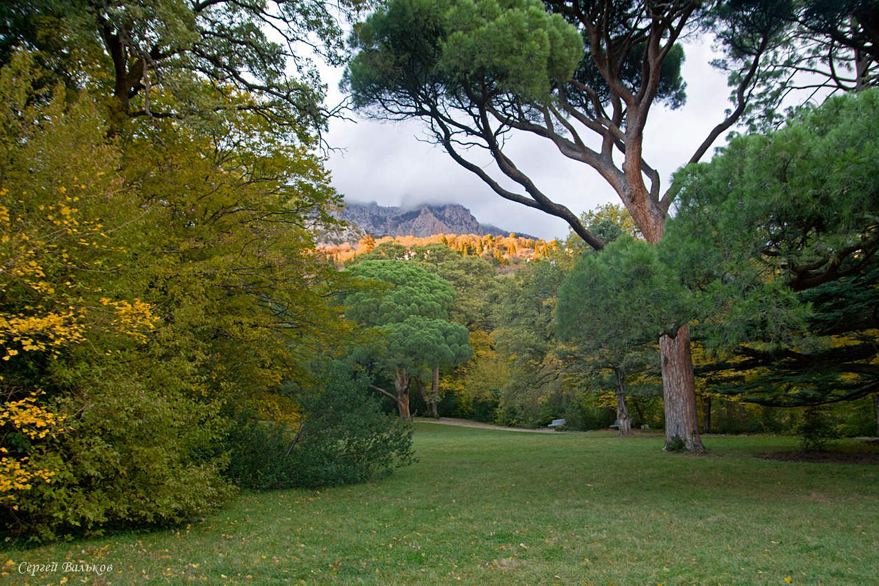 Herbst im Park Vorontsov