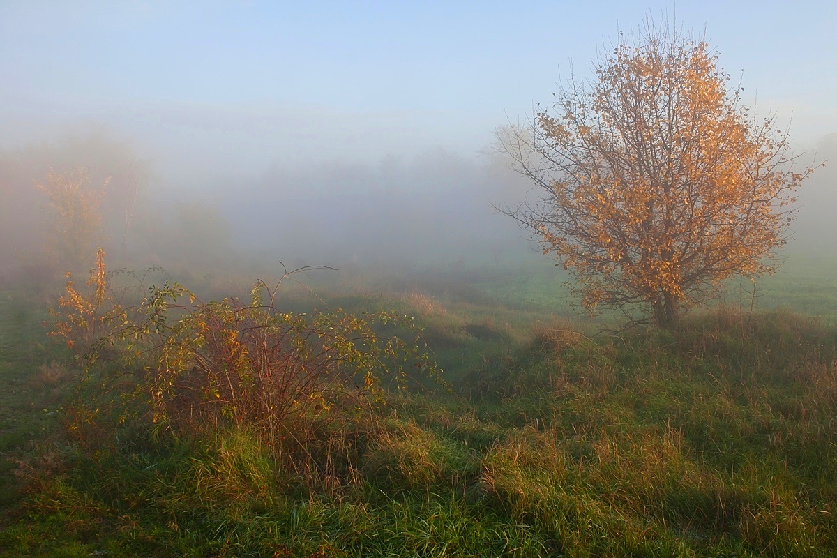 Herbst Landschaft und Stillleben.