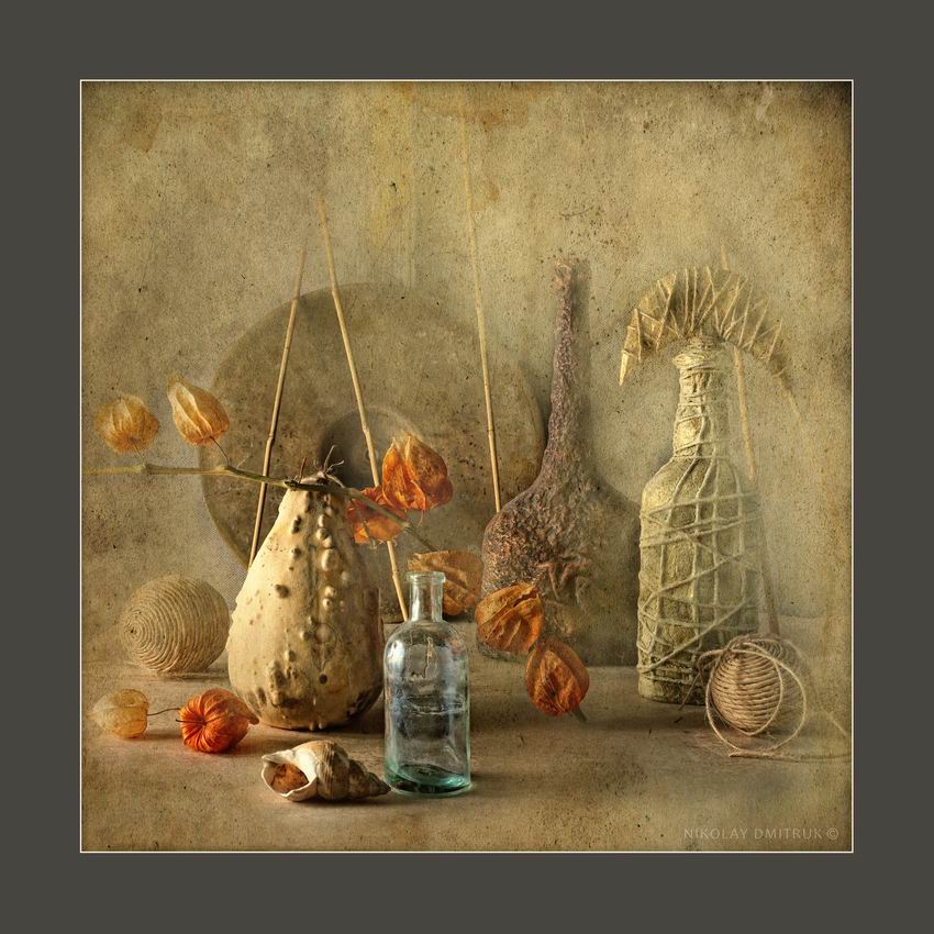 Physalis. 2014