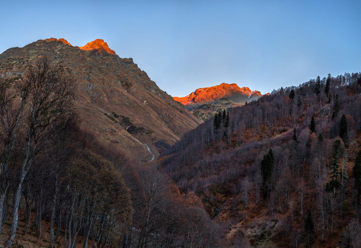 Letzte Strahlen oder Spätherbst.