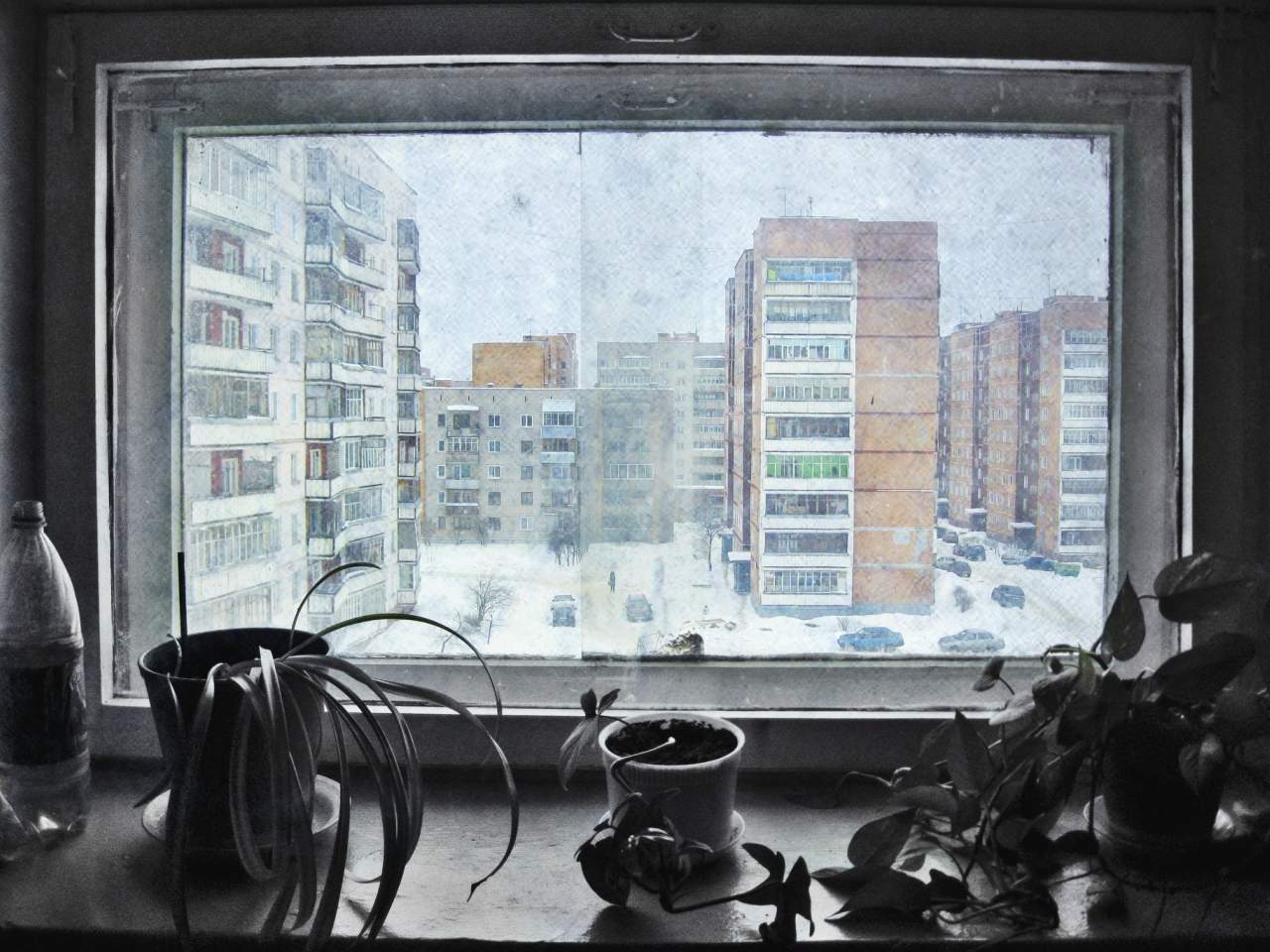 Chilly, die Februar jemandes (warm, winter, Ihr)