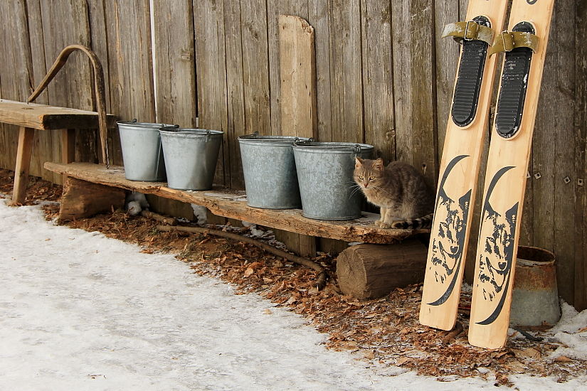 Wasser gebracht, gerade jetzt, auf die Jagd gehen!