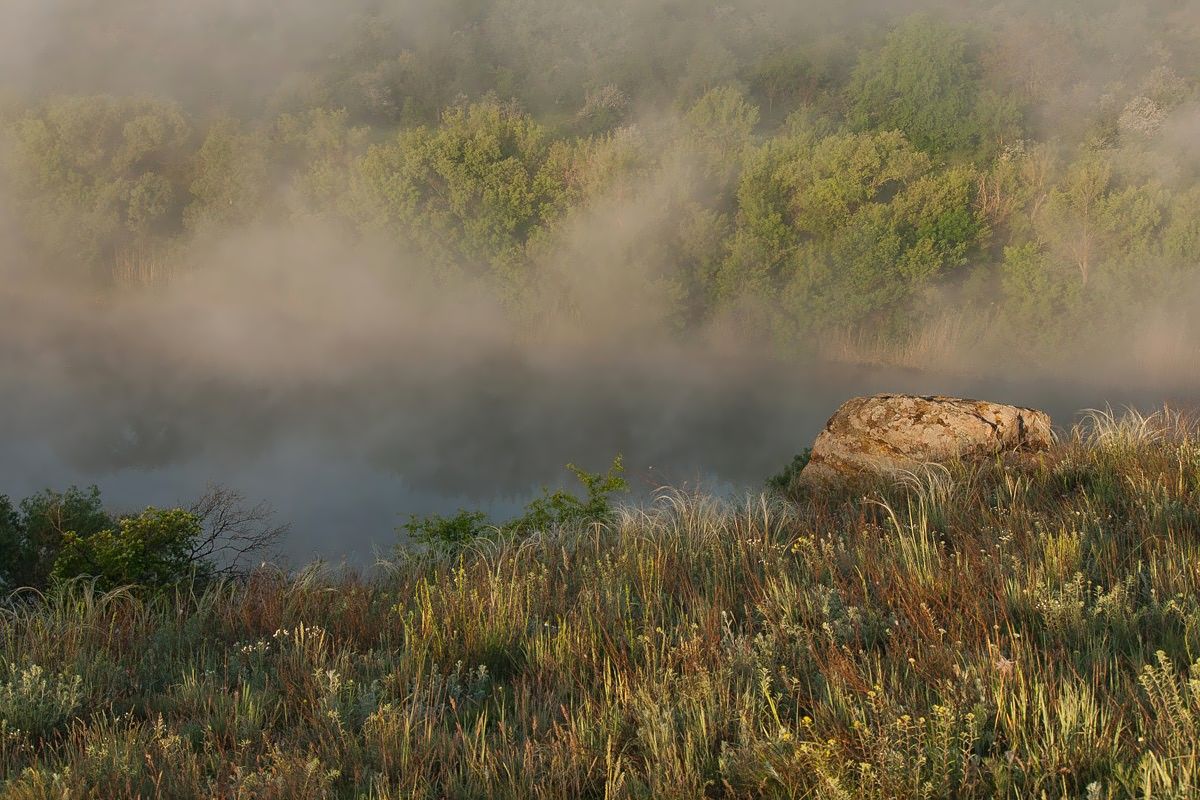Left Coast, die Küste recht.
