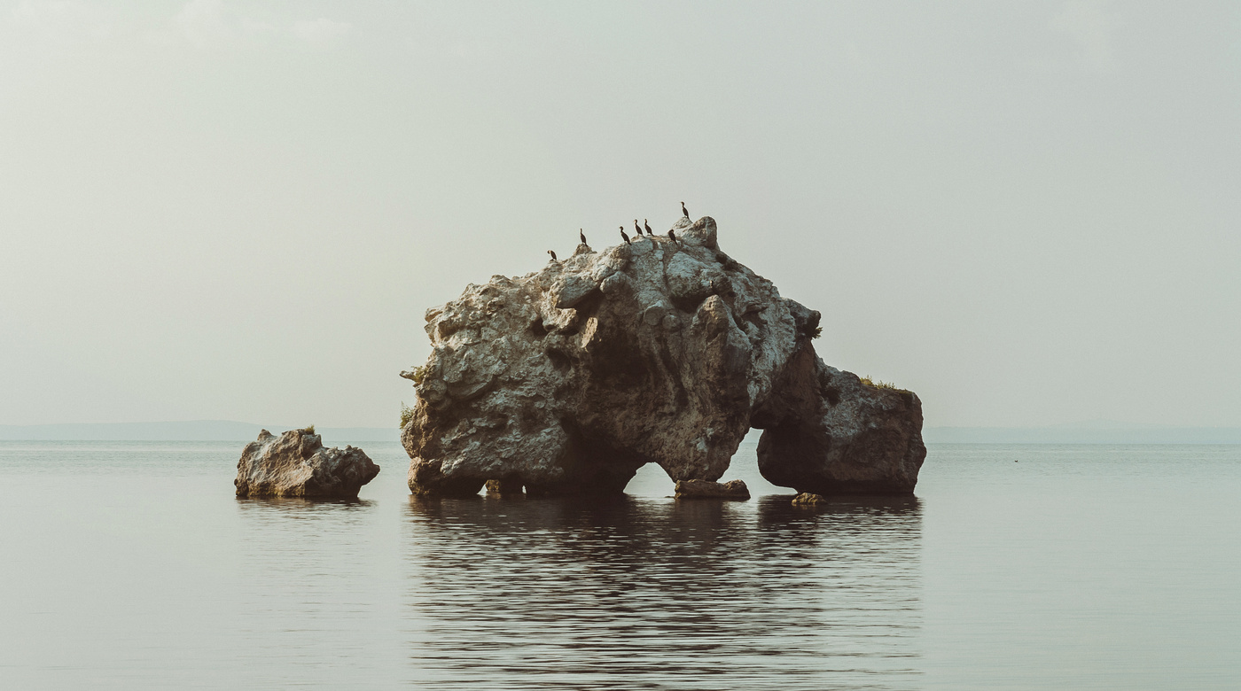 Wir schwatzten über Kormorane gefallen Götzen.