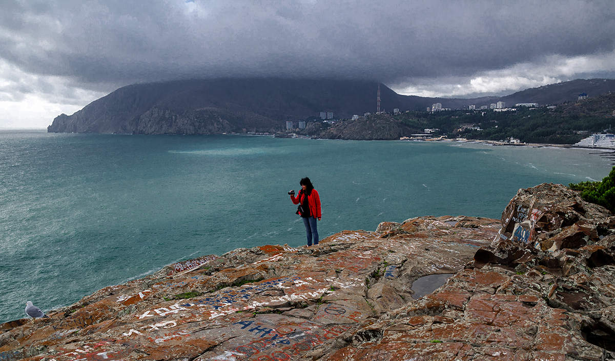 Über eine Tasse Tee, dem Fotografen und der Bär