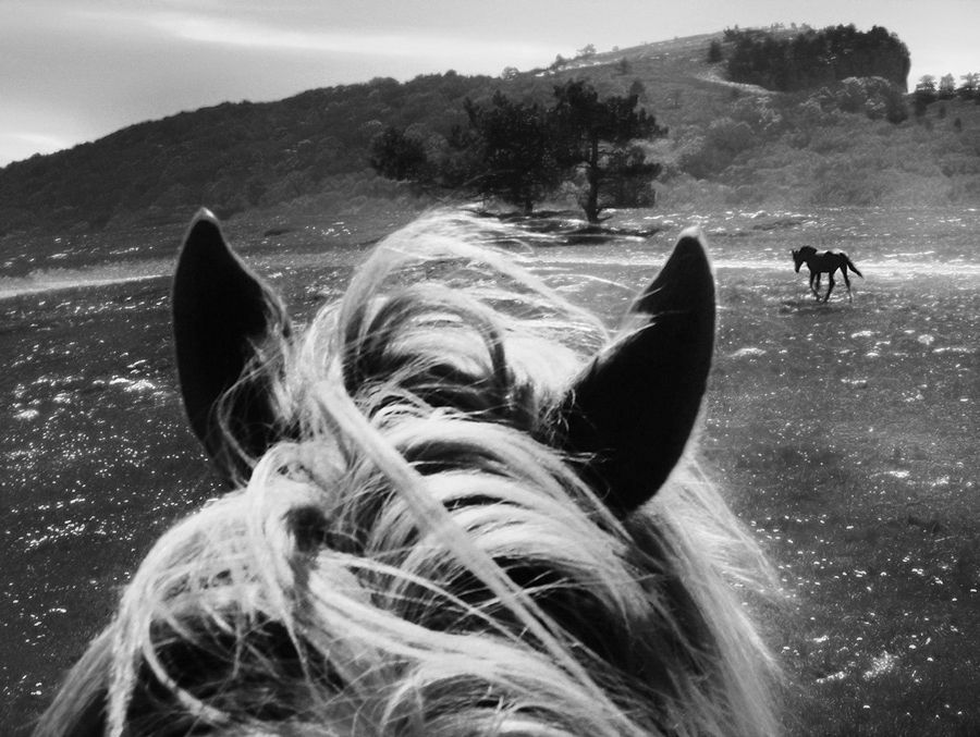 Als ich dich sah ...