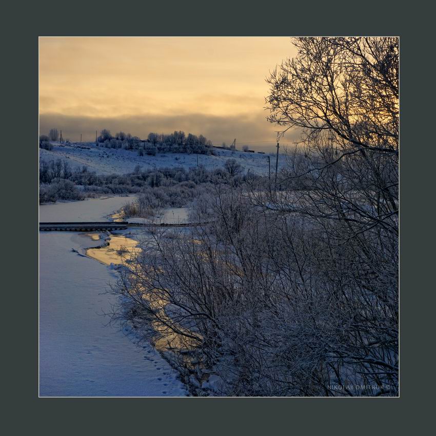 Cecht im Dezember. 2015