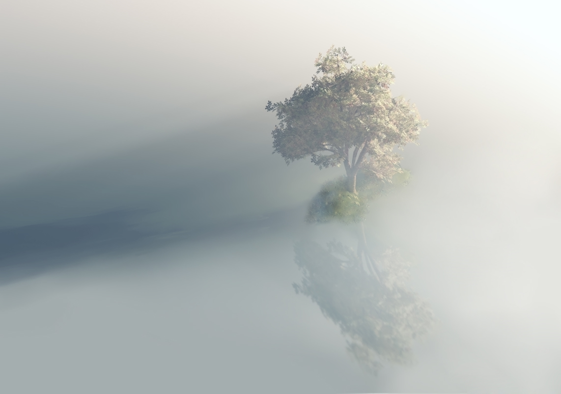 Licht und Schatten ...