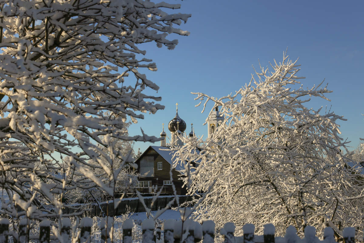 Es kam zu uns im letzten Winter ...