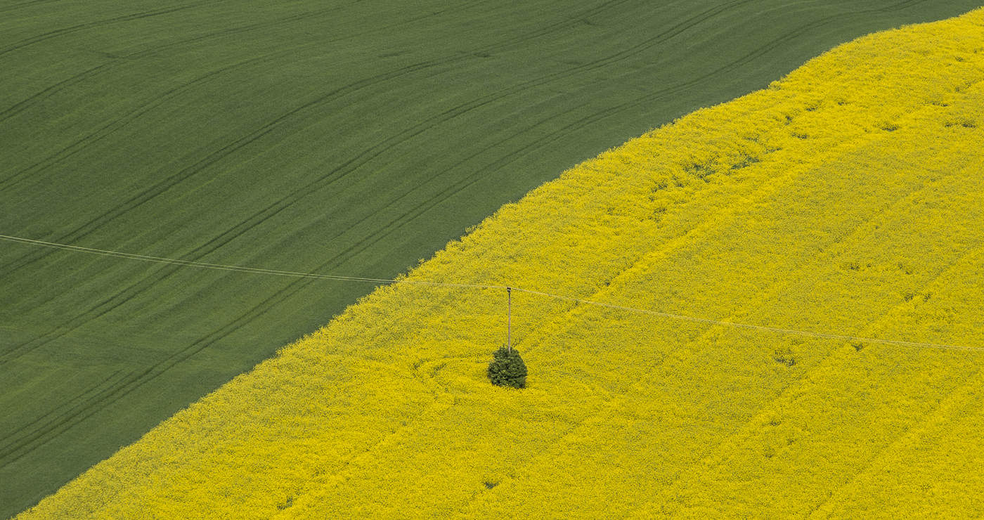 Yin Yan und etwas anderes ...